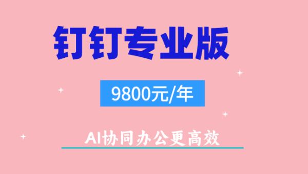 钉钉专业版能看员工考勤明细吗?钉钉专业版的价格