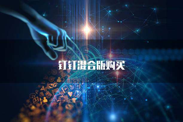 钉钉混合版购买